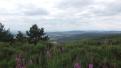 Truc de Fortunio (Lozère)