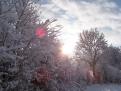 Neige et soleil - Le Bény-Bocage - Calvados