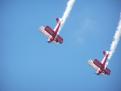 Wing Walkers (Acrobatie aérienne)