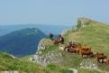 Le Grand Colombier