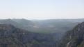 Gorges du Verdon (4) - Vautour fauve