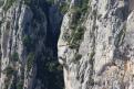 Vautour fauve - Gorges du Verdon (1)