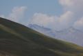 Vautour fauve - Col de la Bonette