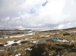 Montagne de Chambourget (Chastreix-Sancy)