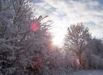 Neige et soleil - Le Bény-Bocage - Calvados