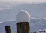 Boule de neige - Le Bény-Bocage - Calvados