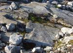 Norvège - Roches lacérées pas les glaciers - Djupvatnet - Près de Geiranger