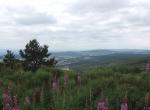 Truc de Fortunio (Lozère)