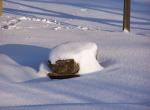 Ombre et neige - Dounoux - Vosges