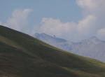 Vautour fauve - Col de la Bonette