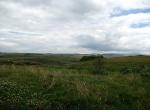 Plateau d'Aubrac