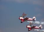 Wing Walkers (2)