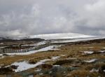 Montagne de Chambourget (4) (Station de Chastreix-Sancy)