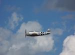 P47 D Thunderbolt en vol