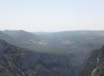 Gorges du Verdon (4) - Vautour fauve