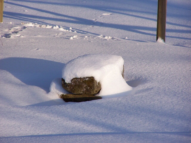 Ombre et neige - Dounoux - Vosges