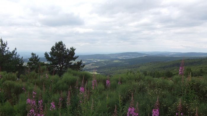 Truc de Fortunio (Lozère)