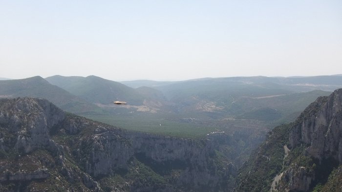 Gorges du Verdon (4) - Vautour fauve