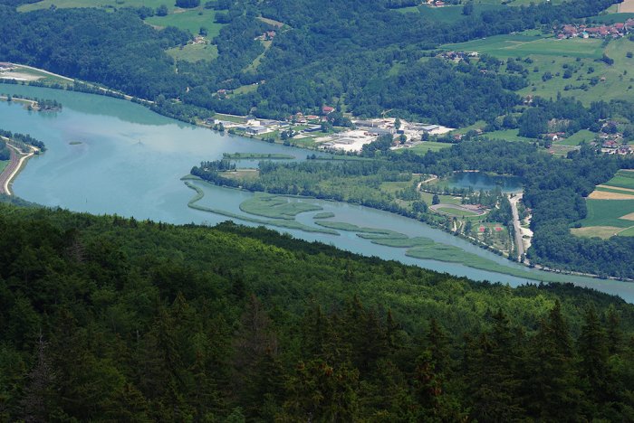 Le Rhone et ses méandres (Grand Colombier)