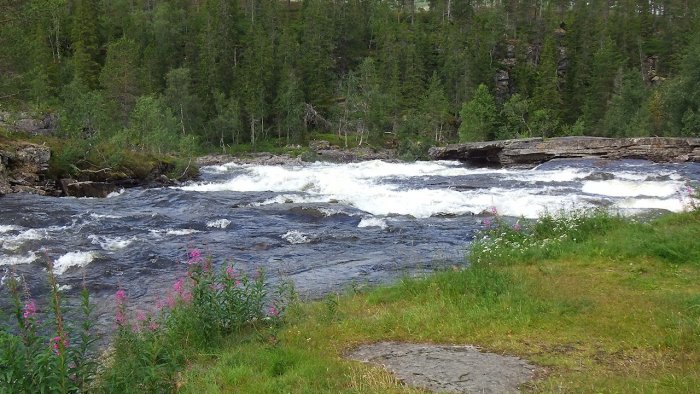 Norvège - Route E6 02 - Cascade près de Kjerringvatnet