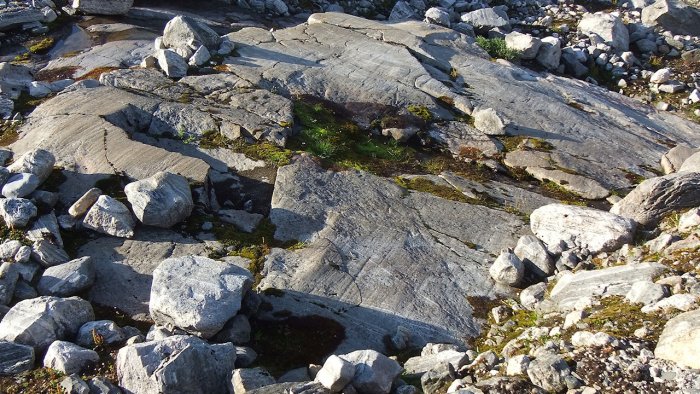 Norvège - Roches lacérées pas les glaciers - Djupvatnet - Près de Geiranger