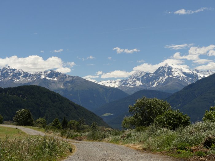 Massif de l'Ortler (1)