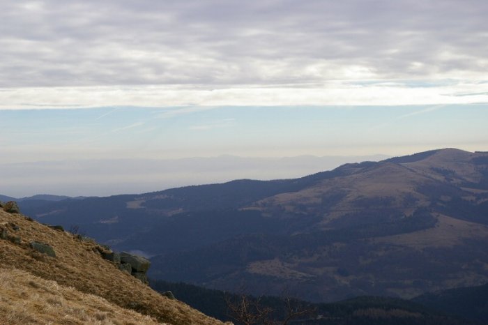 La Forêt Noire