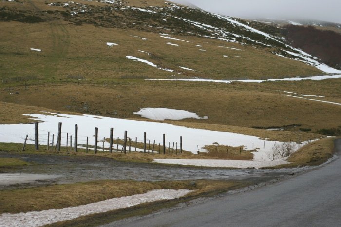 Col de la Geneste (Sanglier en neige)