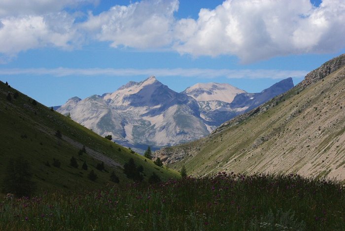 Col du Noyer - Massif du dévoluy - Vue vers le NO