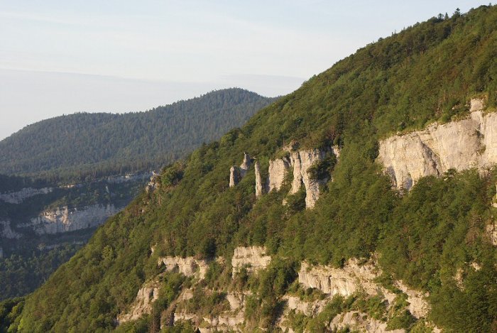 Falaises (Vercors)